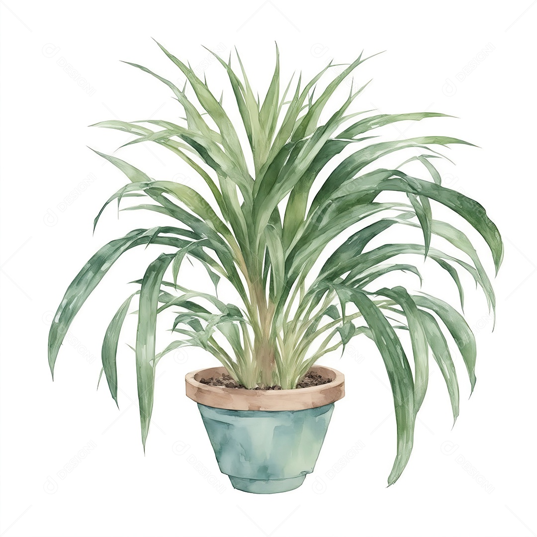 Planta Sagu Palm no vaso aquarela sobre fundo branco