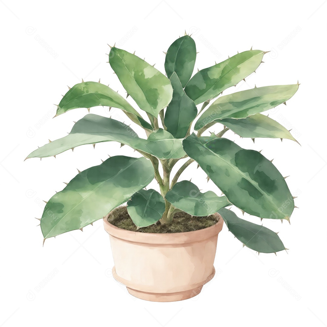Planta zamioculcas zamiifolia no vaso aquarela sobre fundo branco