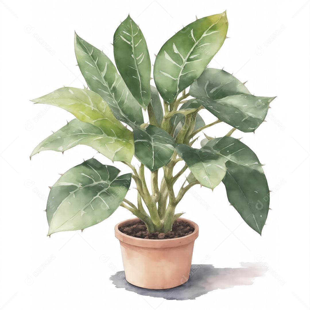 Planta zamioculcas zamiifolia no vaso aquarela sobre fundo branco