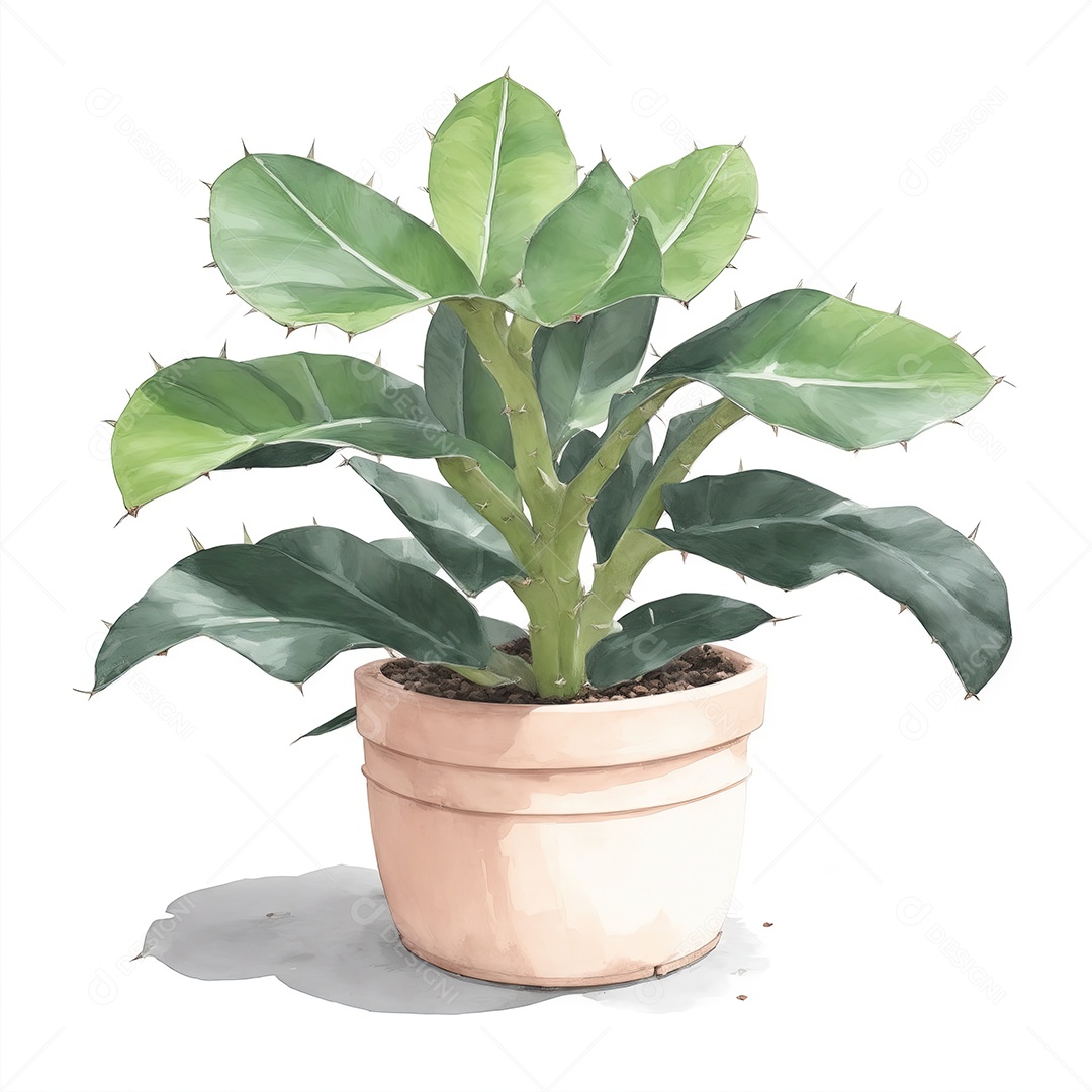 Planta zamioculcas zamiifolia no vaso aquarela sobre fundo branco