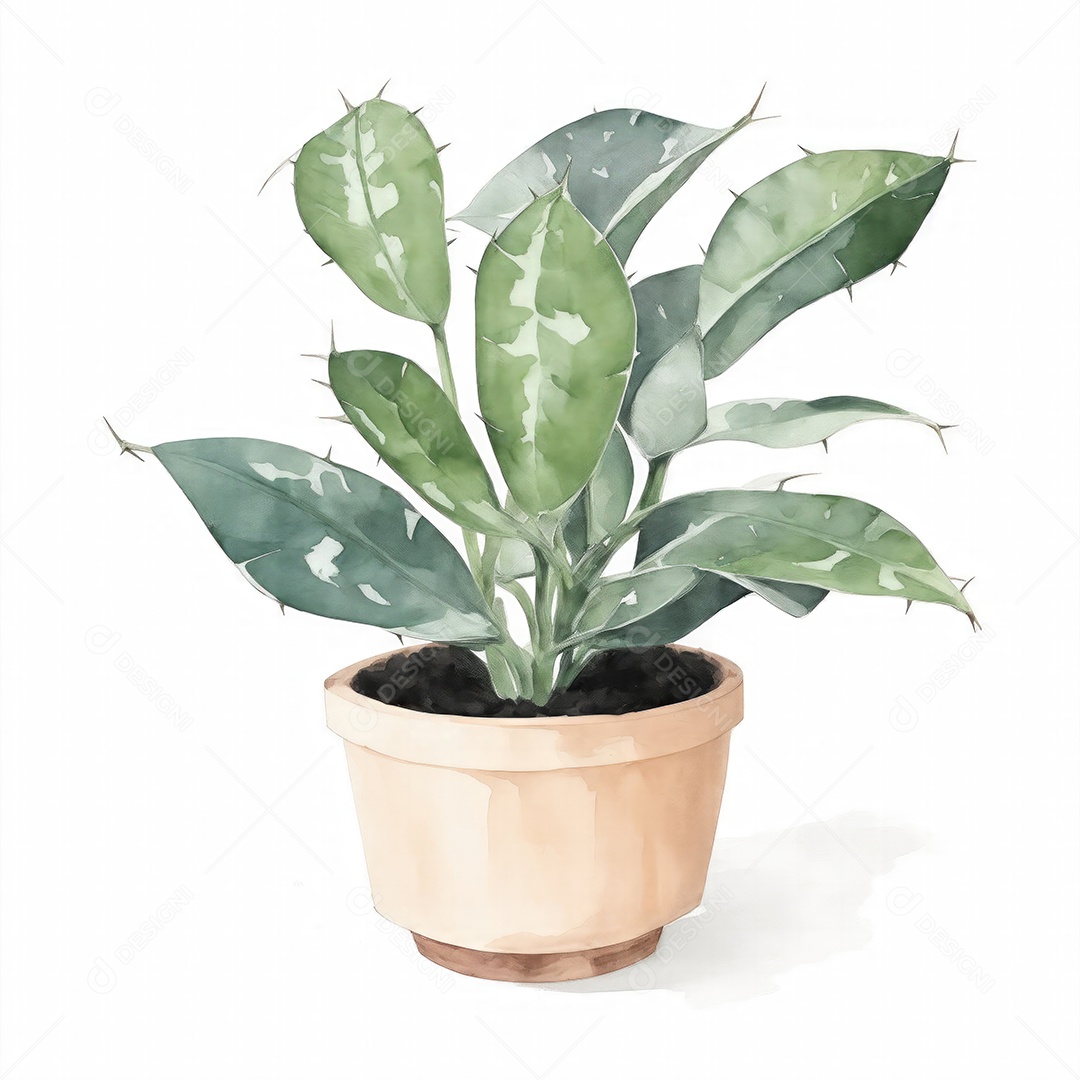 Planta zamioculcas zamiifolia no vaso aquarela sobre fundo branco