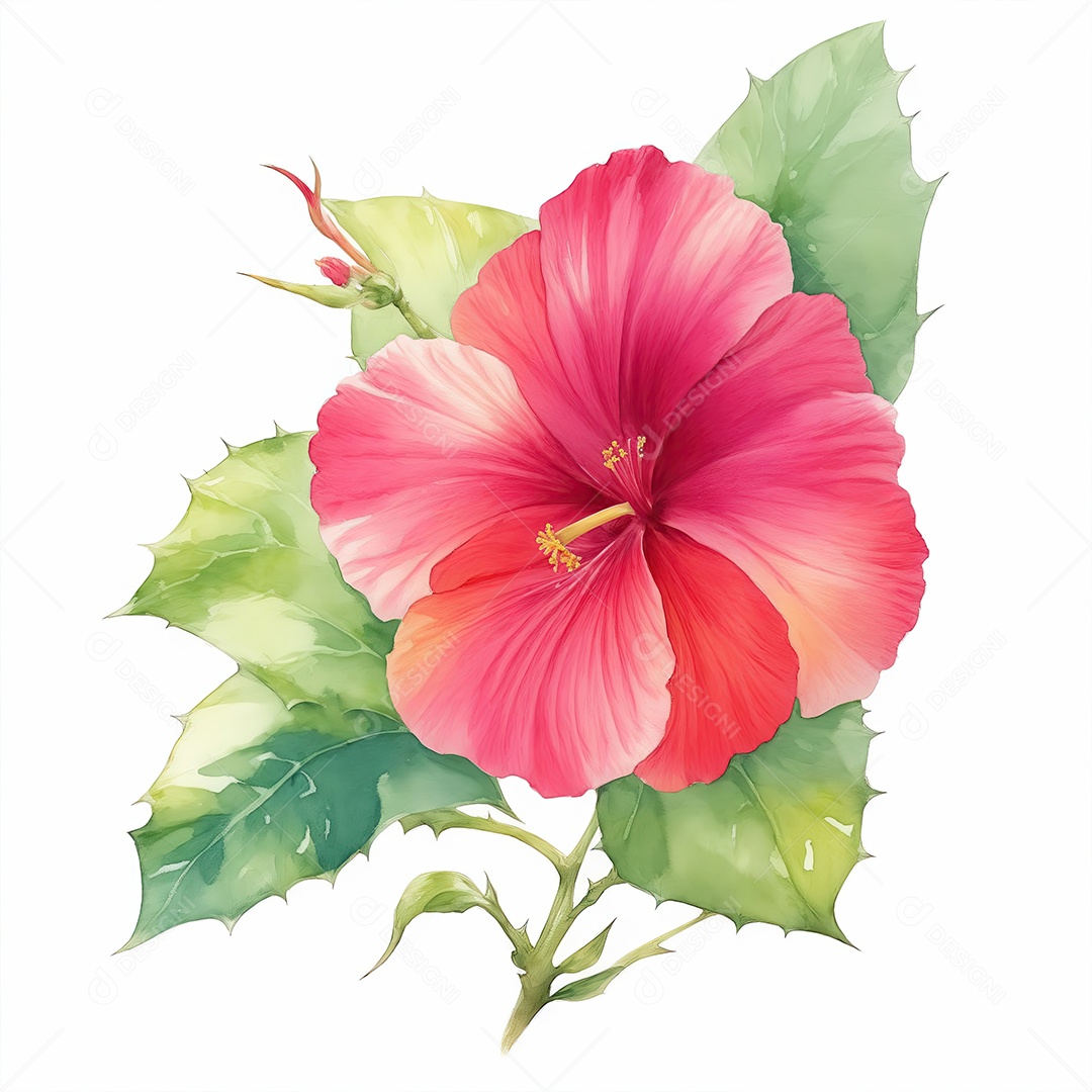 Ilustração de hibisco em estilo aquarela sobre fundo branco