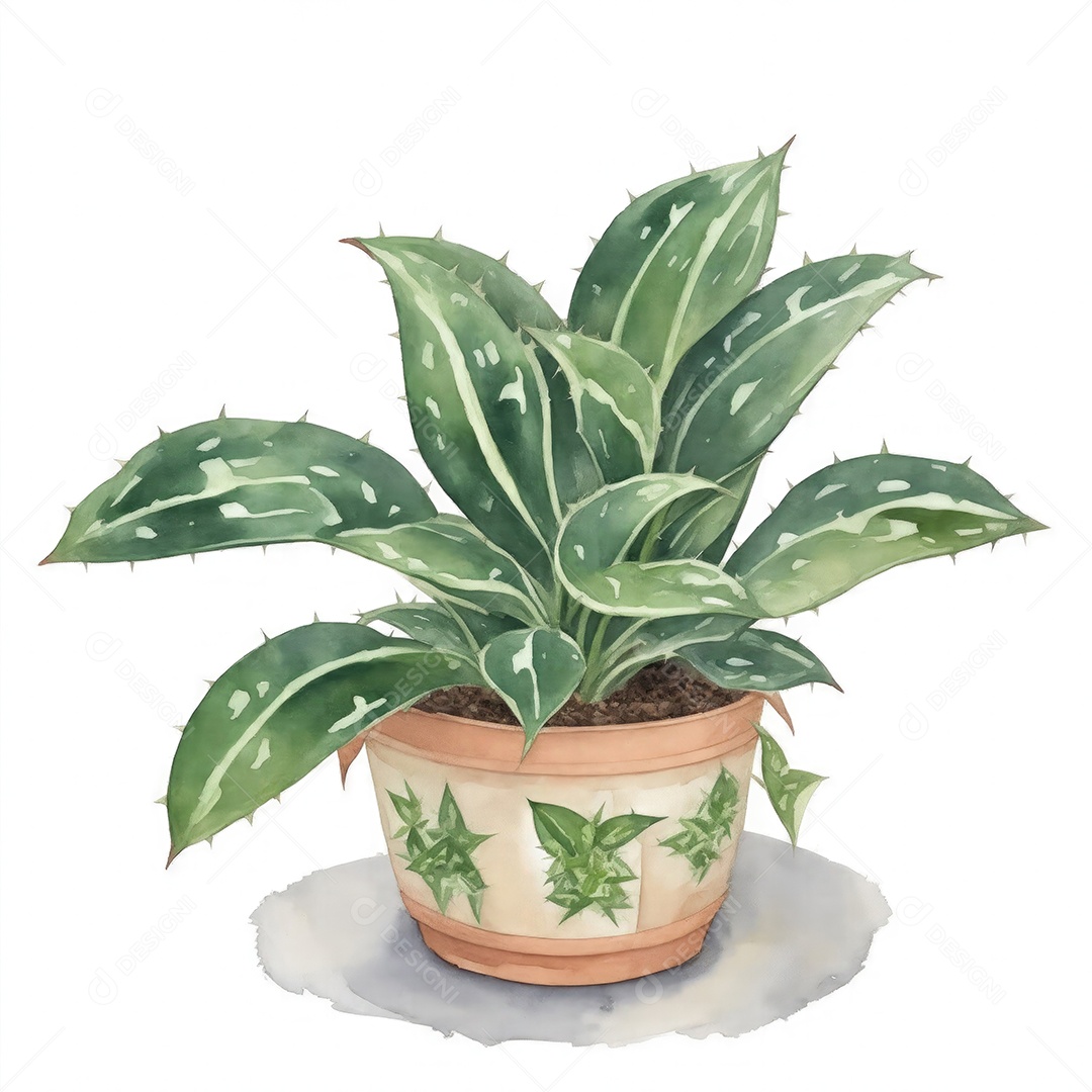 Plantas de oração no vaso aquarela sobre fundo branco