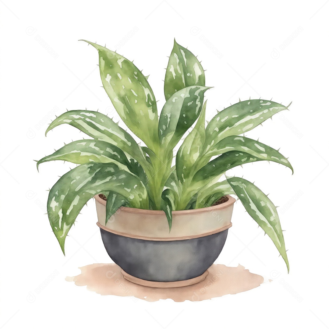 Plantas de oração no vaso aquarela sobre fundo branco