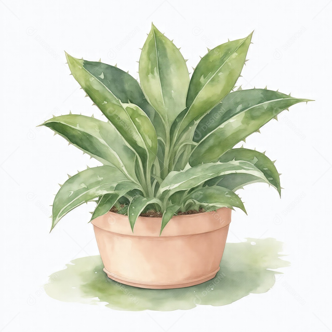 Plantas de oração no vaso aquarela sobre fundo branco