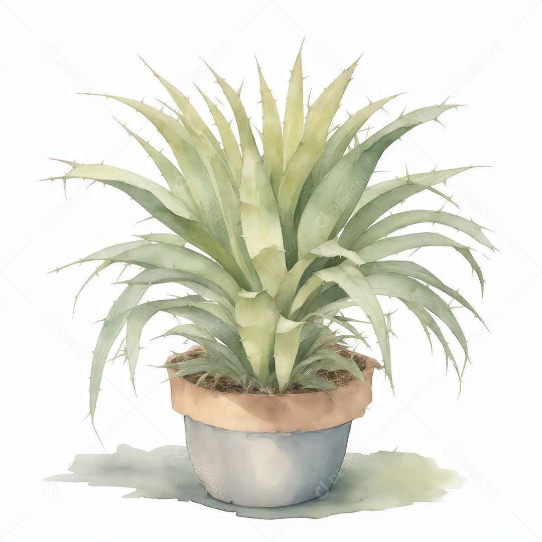Plantas de yucca na panela aquarela sobre fundo branco