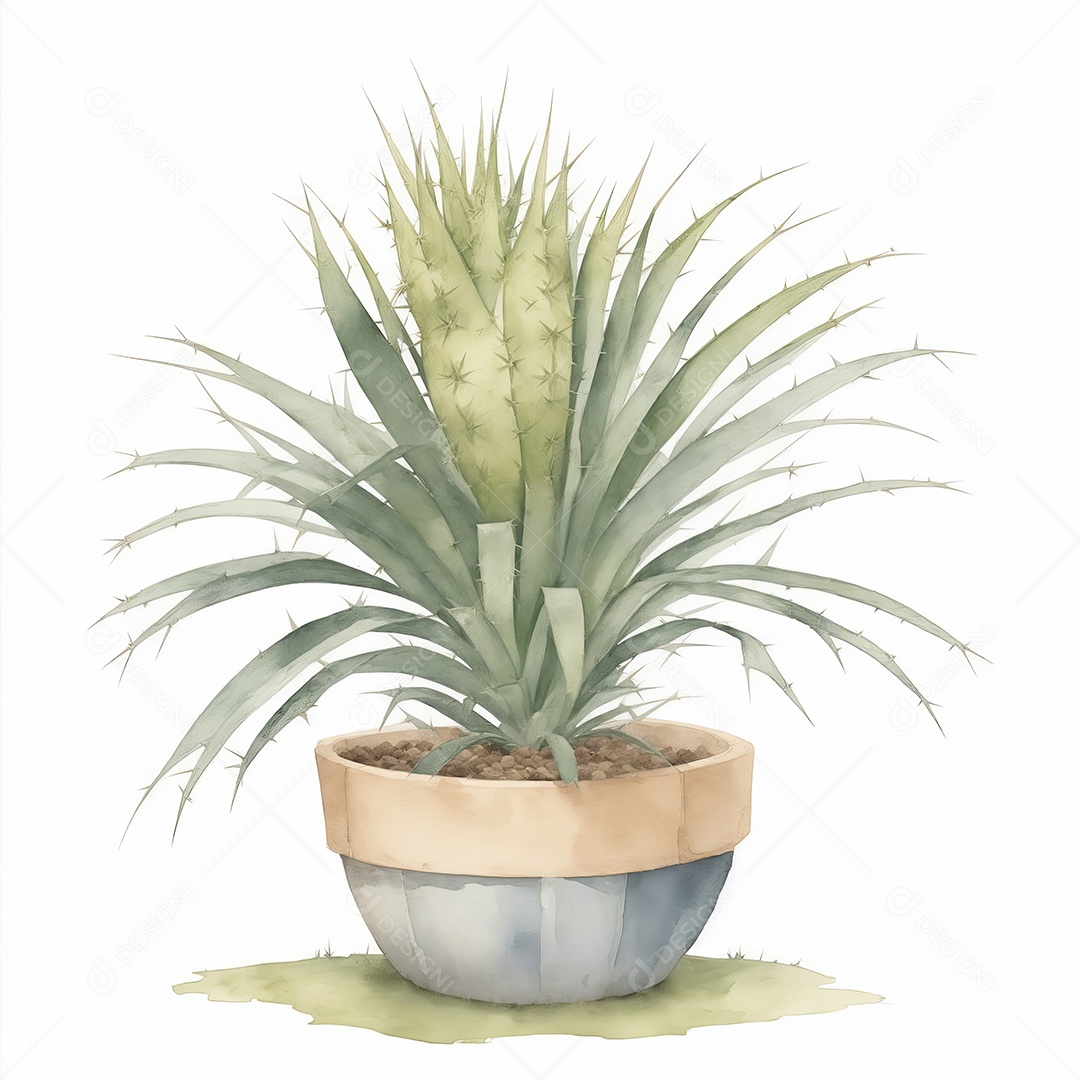 Plantas de yucca na panela aquarela sobre fundo branco