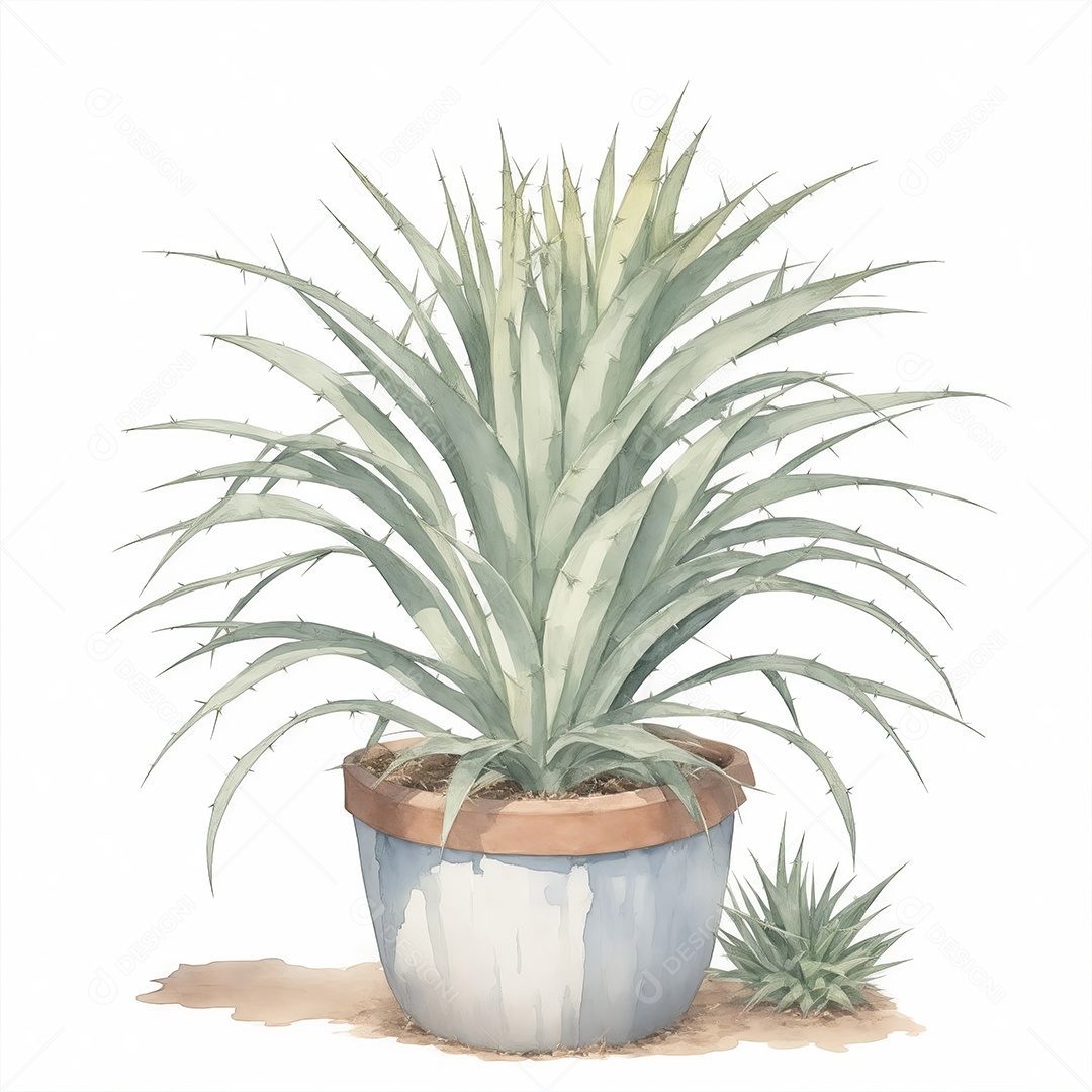 Plantas de yucca na panela aquarela sobre fundo branco