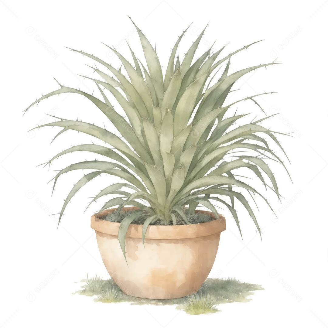 Plantas de yucca na panela aquarela sobre fundo branco