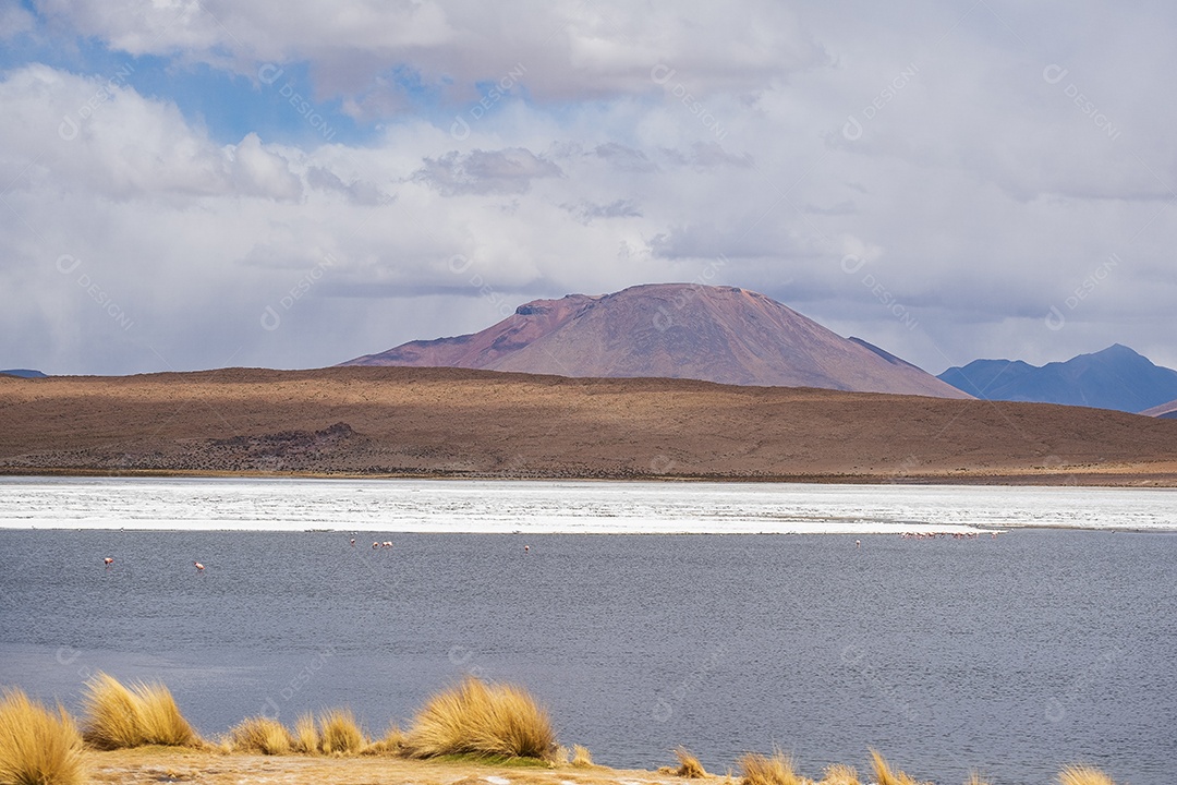 Paisagem da majestosa laguna colorada ou lagoa vermelha nas terras