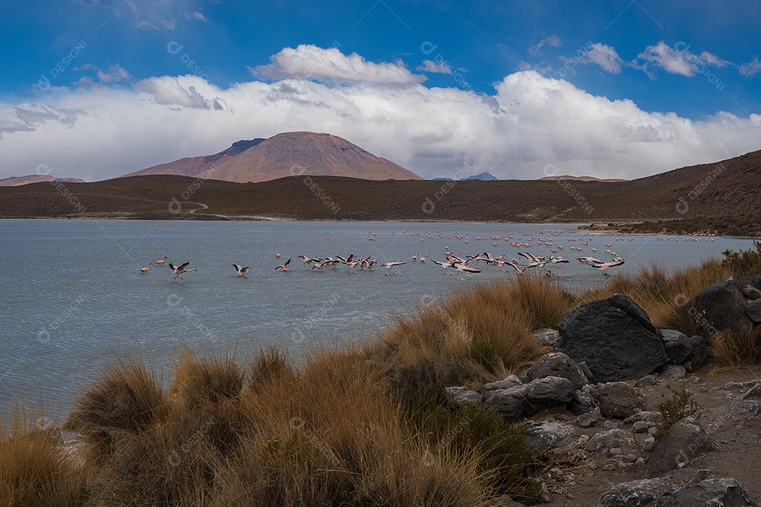 Lagoa com flamingos e montanhas ao fundo no Altiplano boliviano