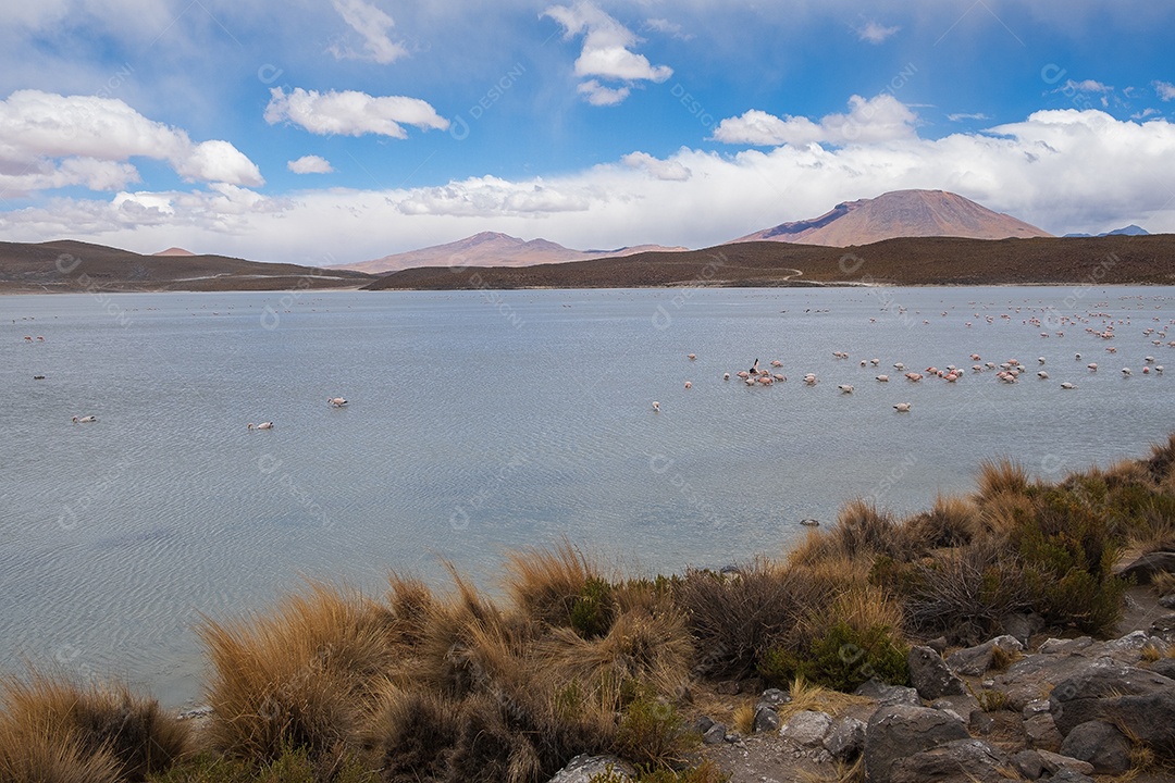 Lagoa com flamingos e montanhas ao fundo no Altiplano boliviano
