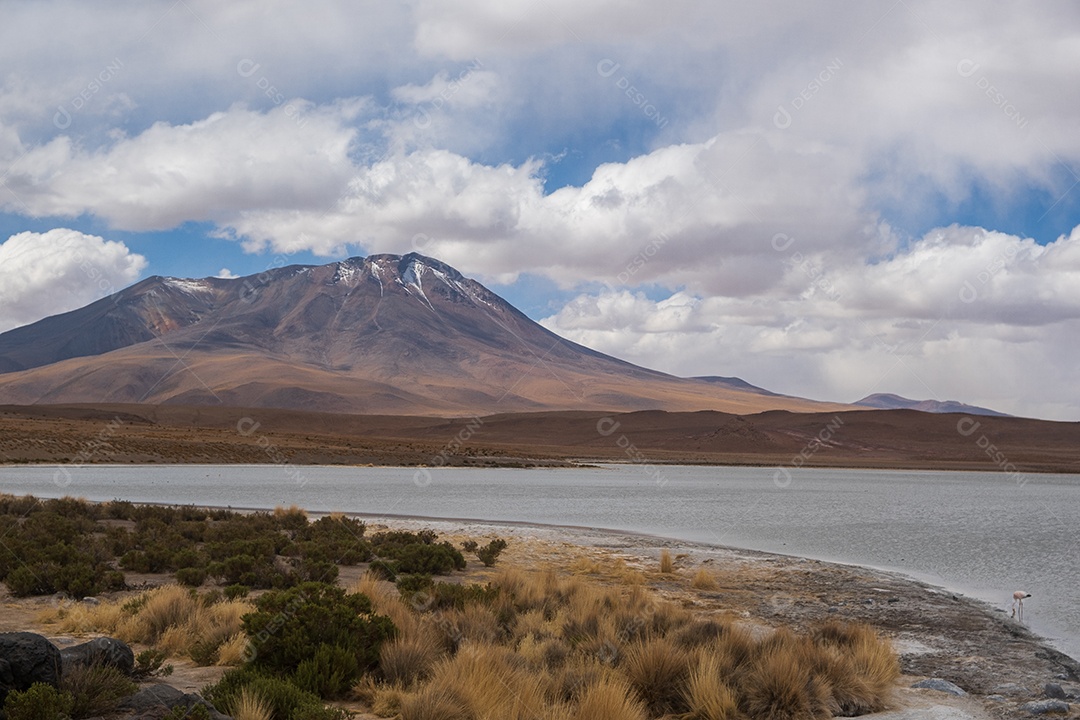 Lagoa com flamingos e montanhas ao fundo no Altiplano boliviano