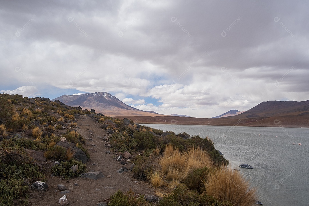 Trilha ao lado de uma lagoa e com montanhas ao fundo no Altiplano