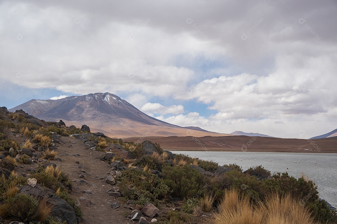 Trilha ao lado de uma lagoa e com montanhas ao fundo no Altiplano