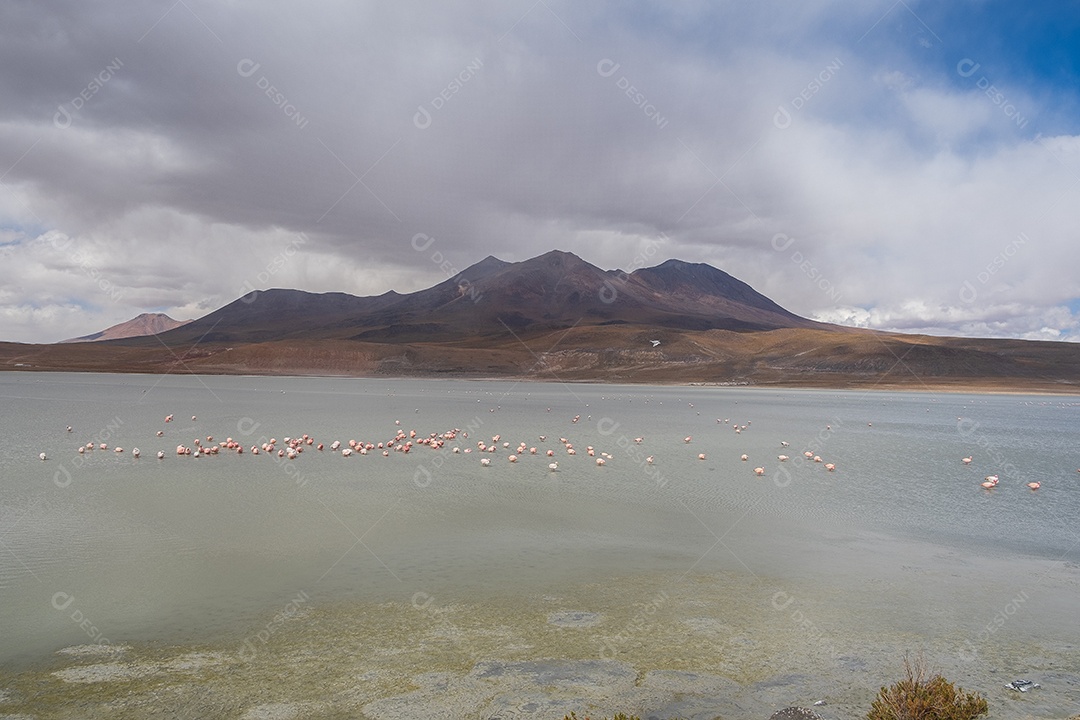 Lagoa com flamingos e montanhas ao fundo no Altiplano boliviano