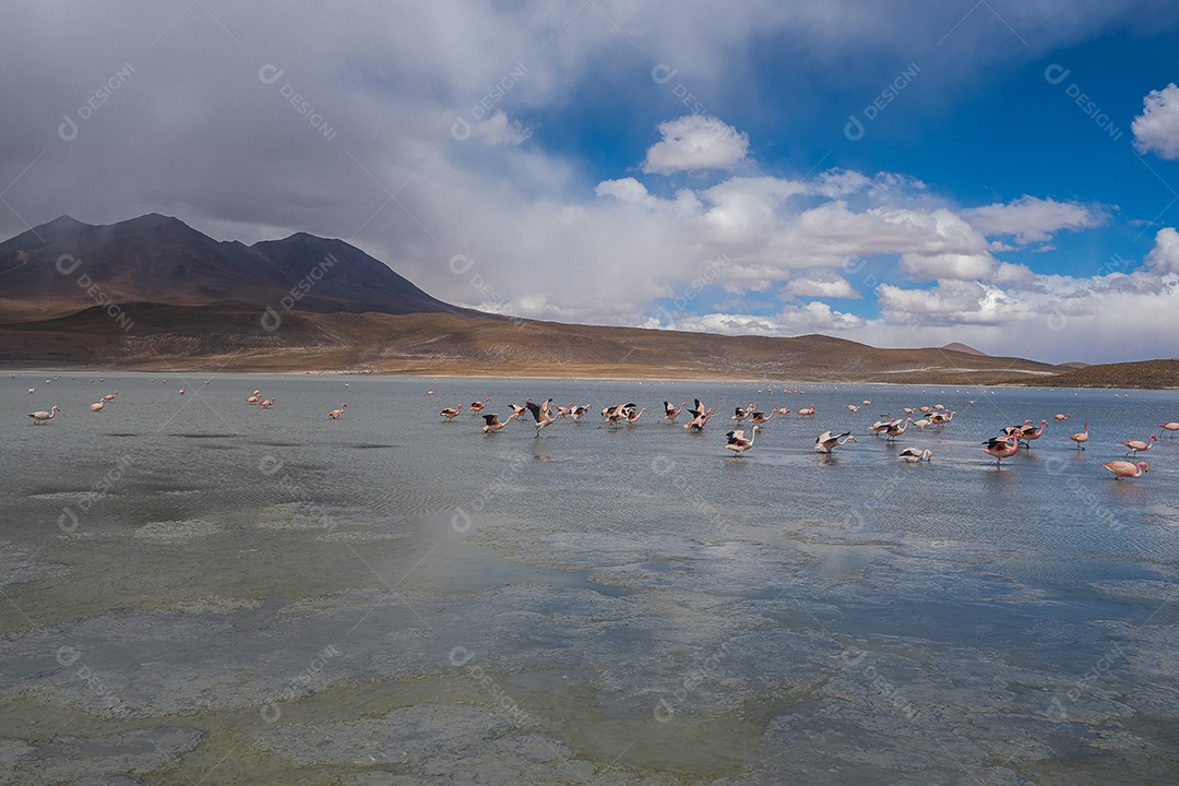 Lagoa com flamingos e montanhas ao fundo no Altiplano boliviano