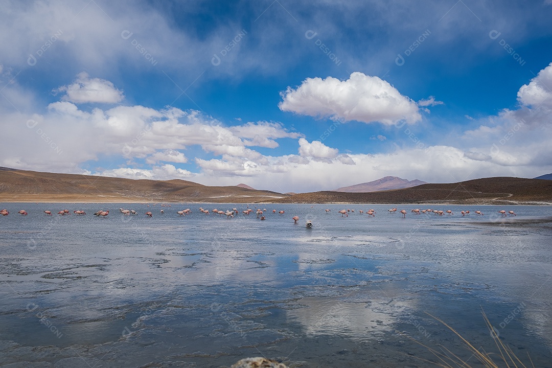Lagoa com flamingos e montanhas ao fundo no Altiplano boliviano