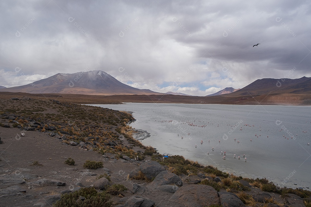 Deslumbrante paisagem de lagoas e montanhas do Altiplano boliviano