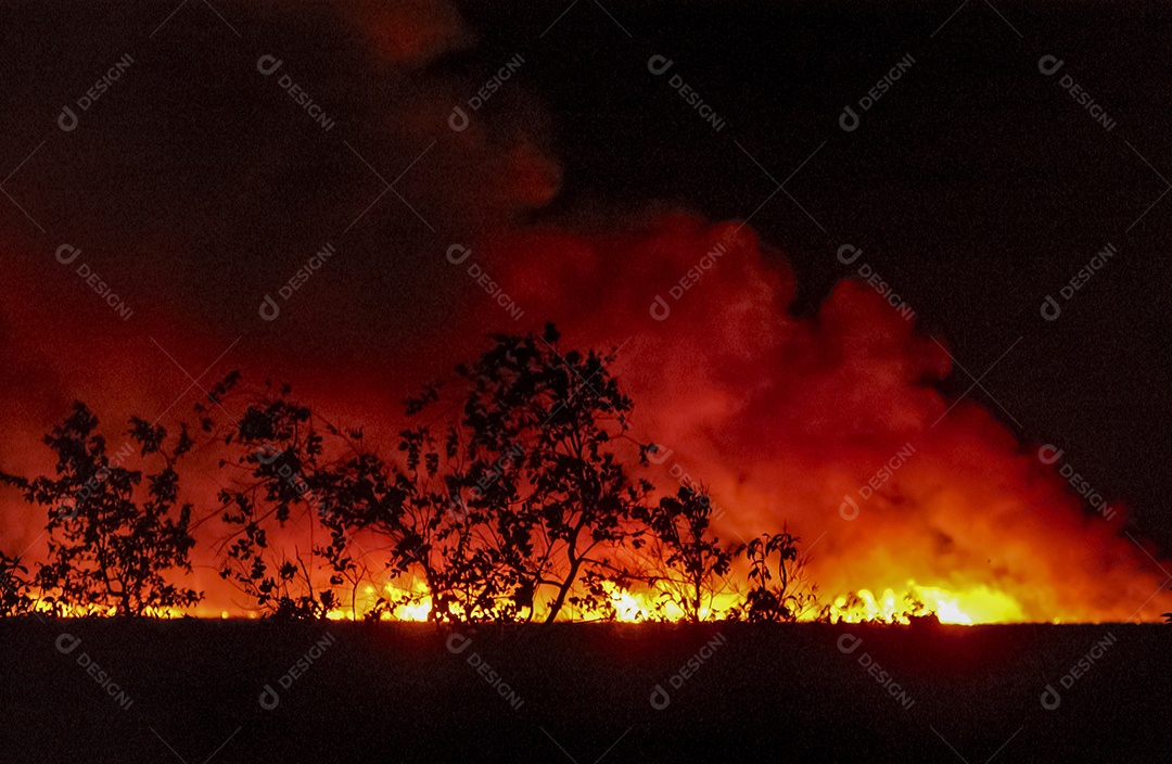 Fogo no canavial cana pegando fogo