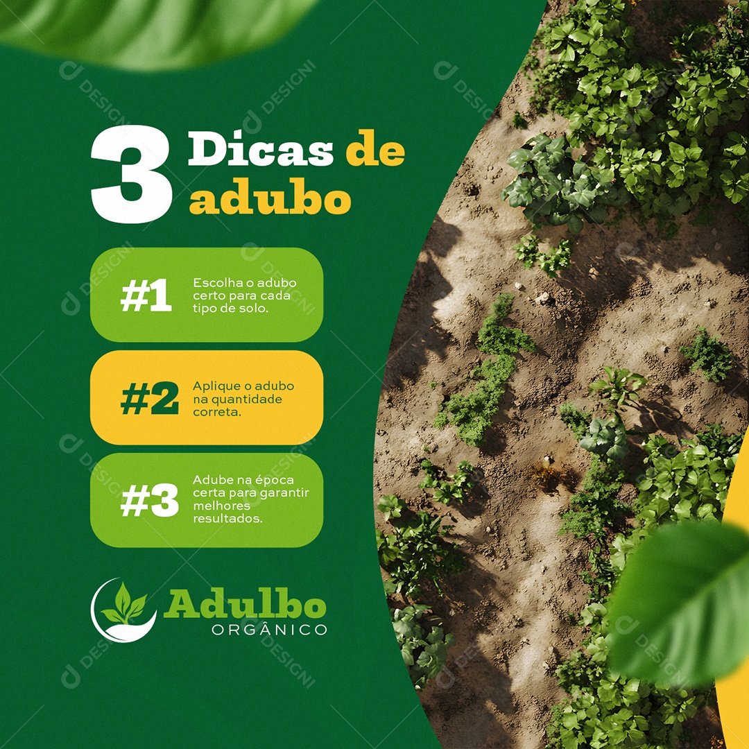 Adulbo Orgânico Dicas Social Media PSD Editável