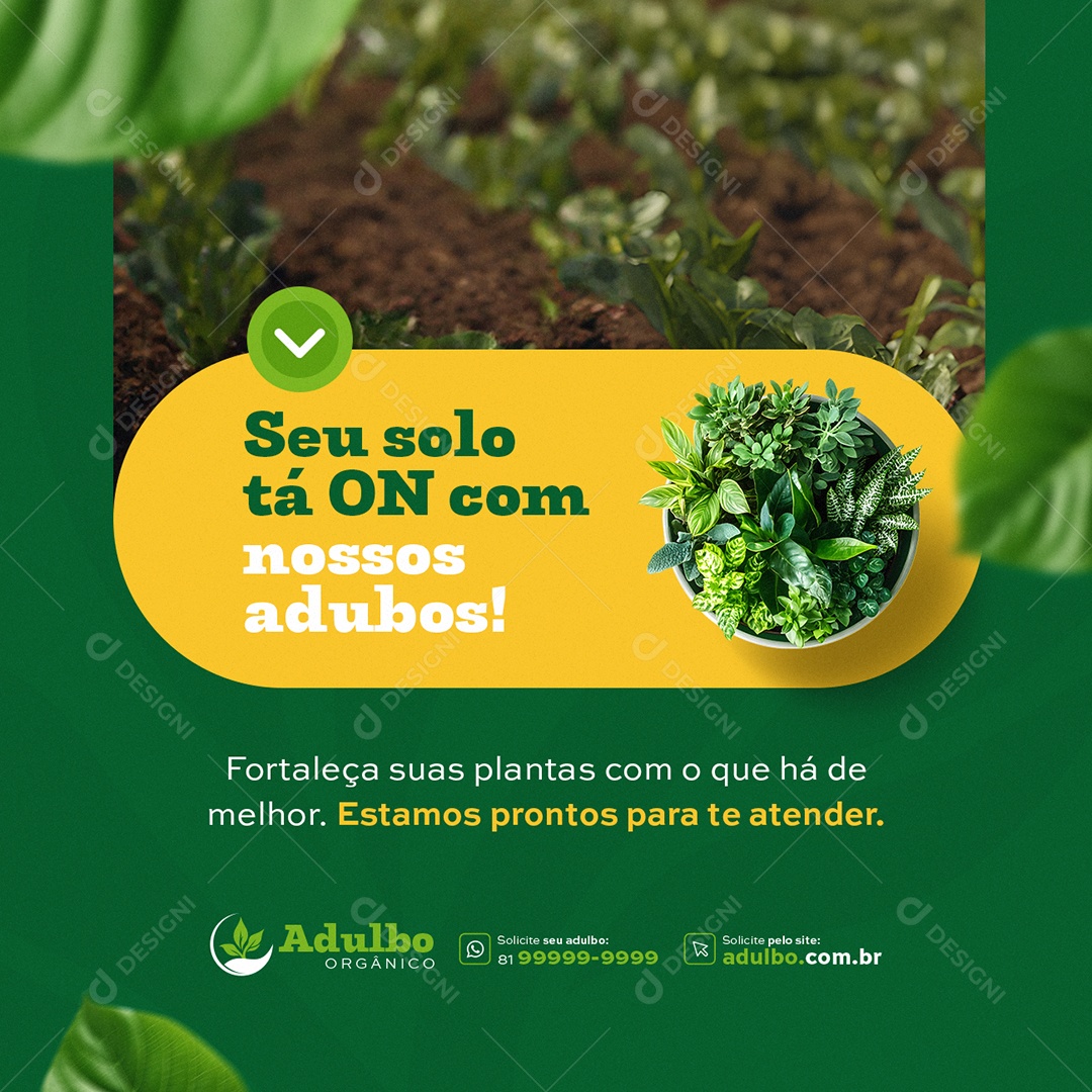 Adulbo Orgânico Seu Solo Tá On Social Media PSD Editável