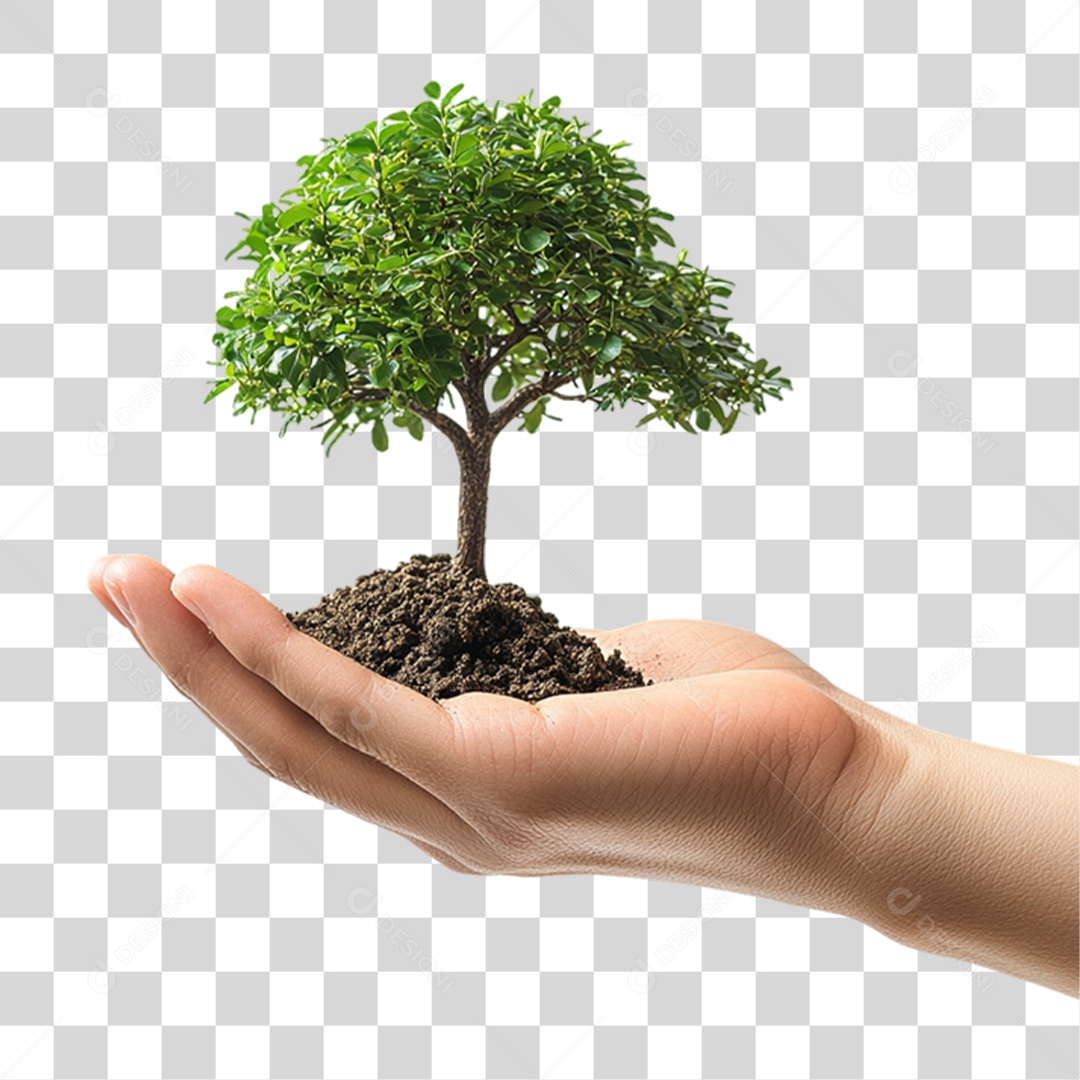Elemento 3D Mão com Árvore PNG Transparente