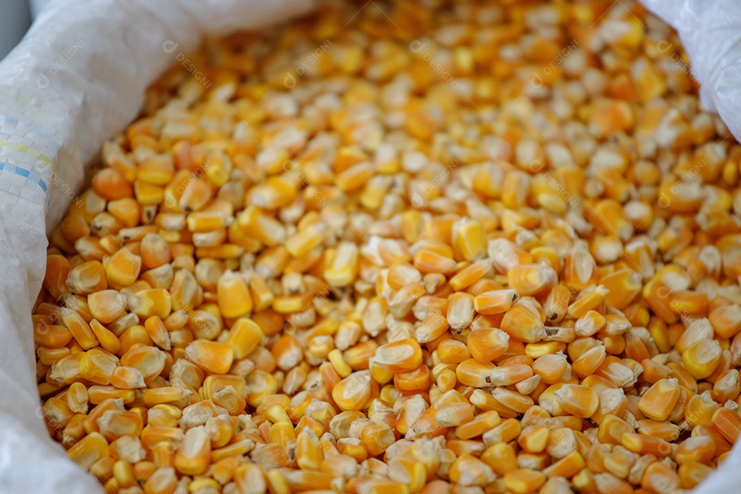 Saco cheio de milho