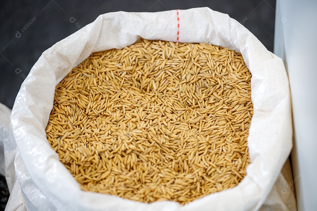 Saco cheio de arroz em cooperativa de produção