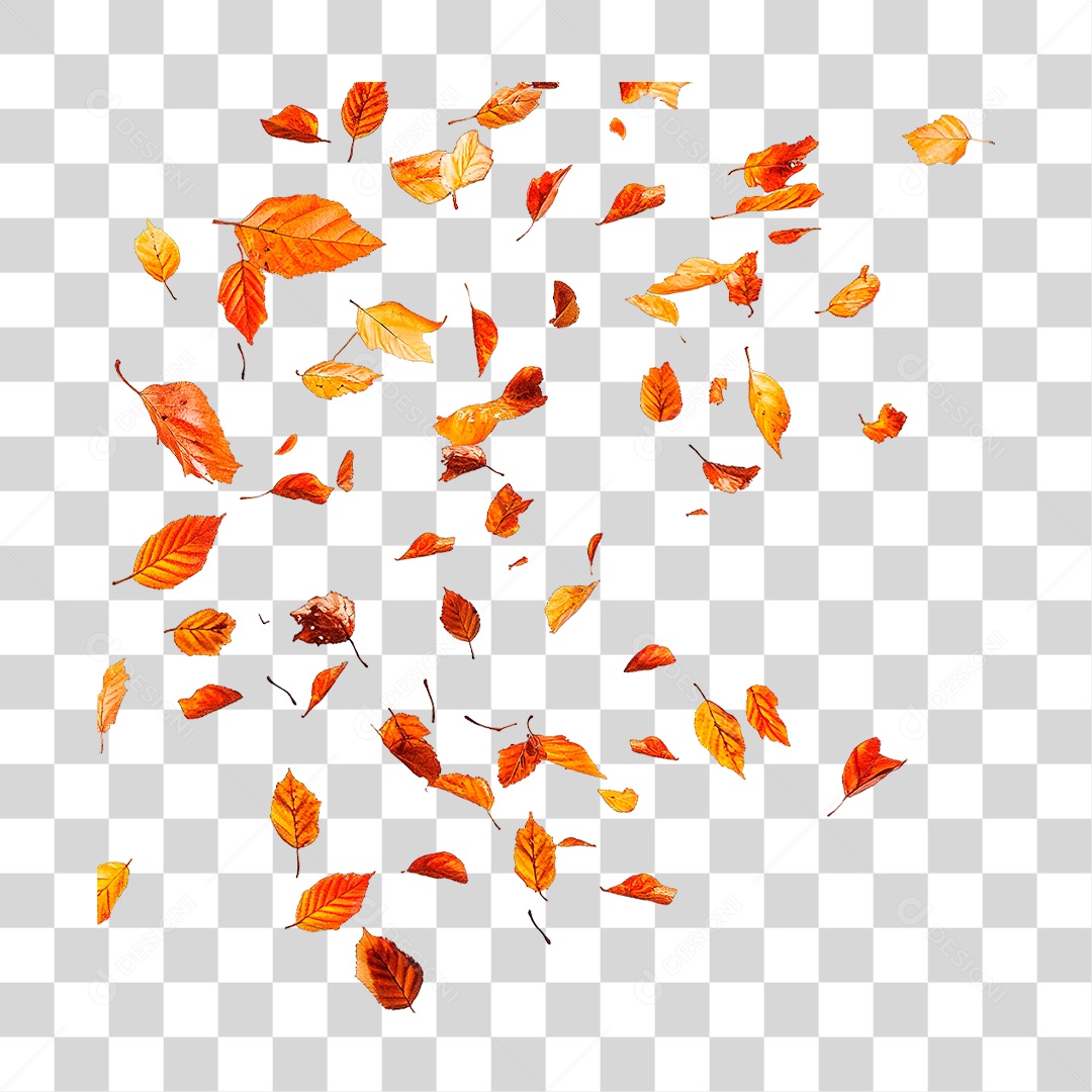 Folhas Secas PNG Transparente