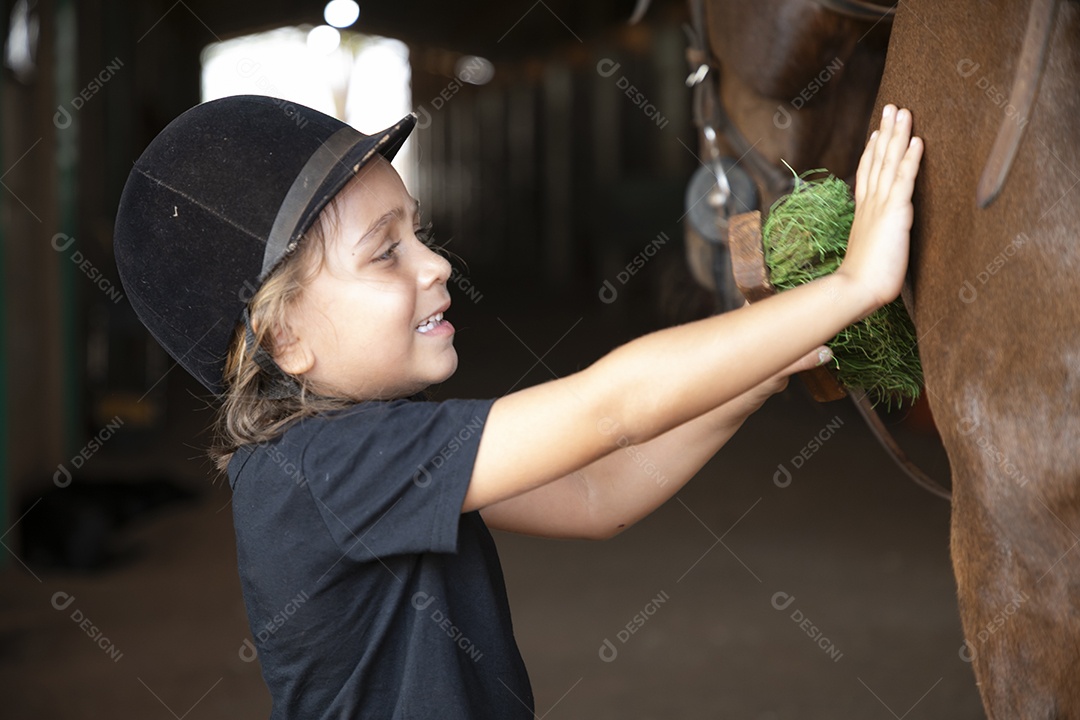 Linda menina escovando seu cavalo de treino