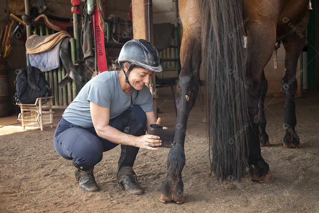 Mulher cuidando do seu cavalo colocando baixa na perna