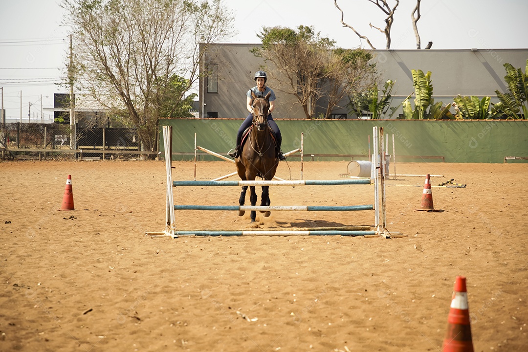 Mulher saltando de obstáculo com cavalo em aula de hipismo