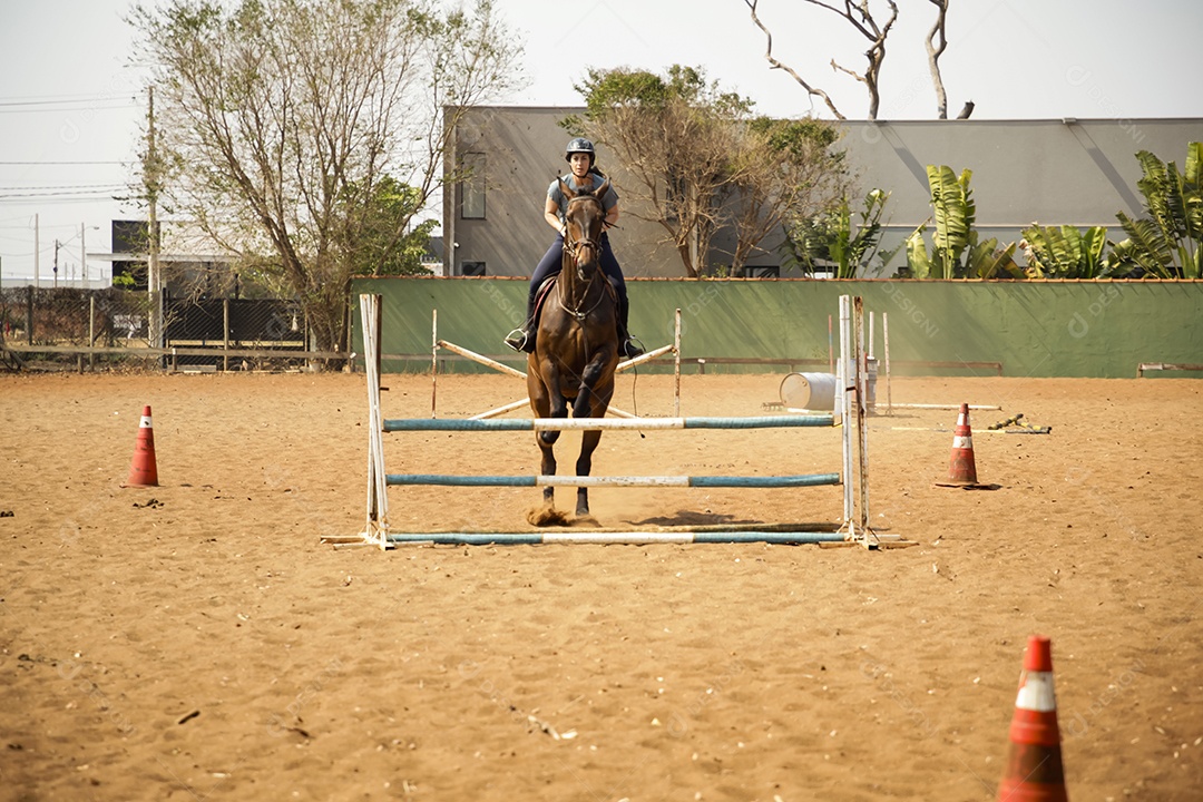 Mulher saltando de obstáculo com cavalo em aula de hipismo