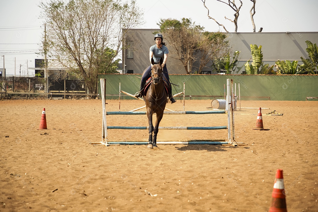 Mulher saltando de obstáculo com cavalo em aula de hipismo