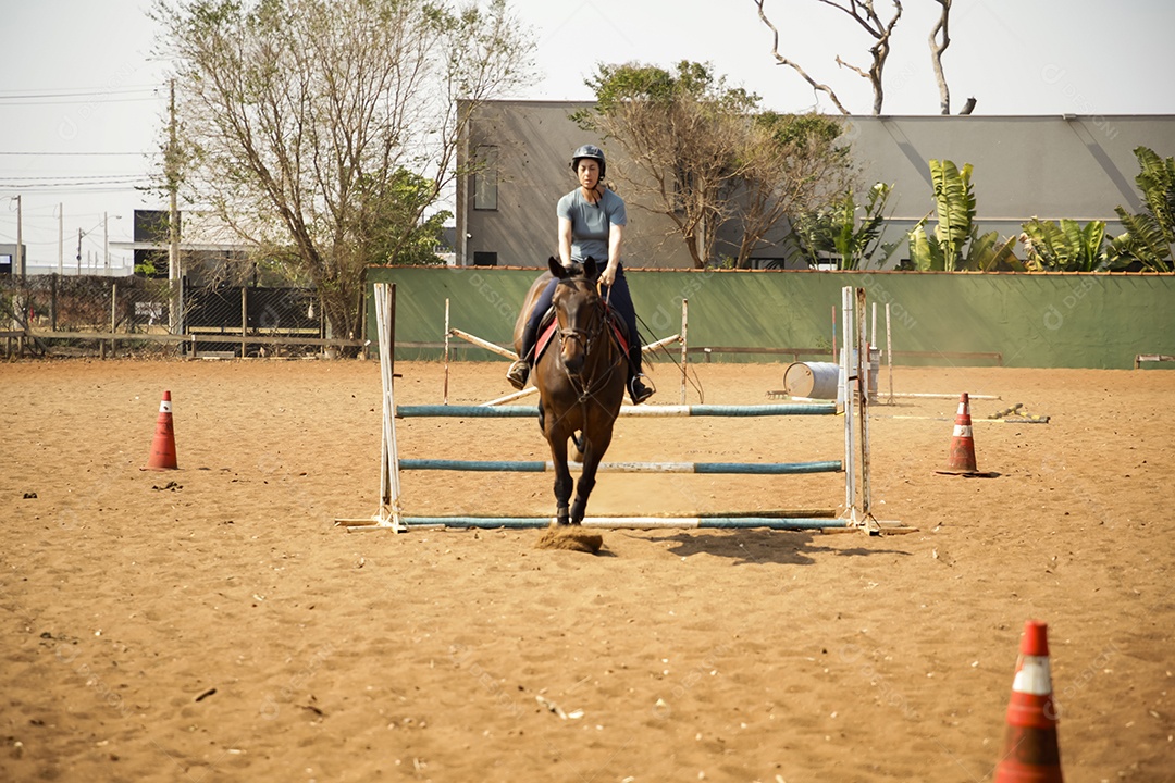 Mulher saltando de obstáculo com cavalo em aula de hipismo