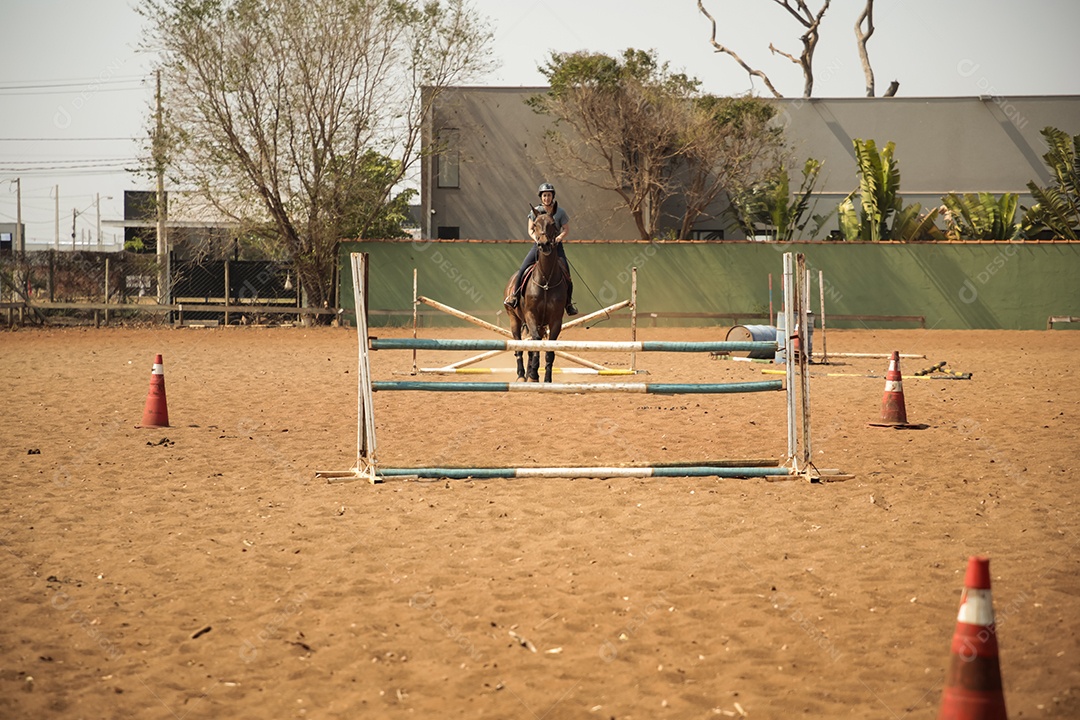 Mulher e seu cavalo pulando em obstáculo de hipismo