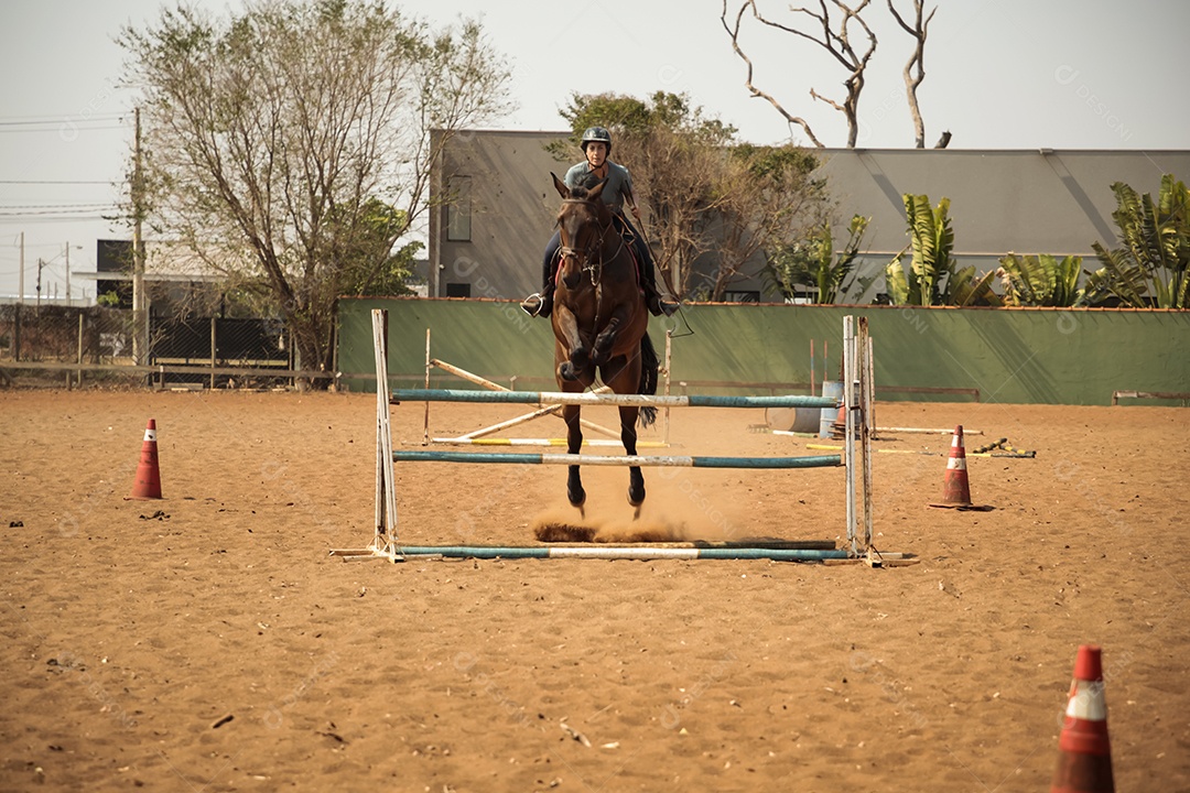 Mulher com seu cavalo saltando de um obstáculo