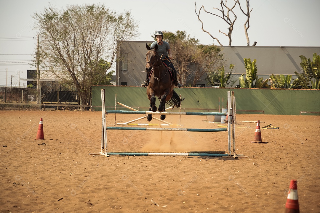 Mulher e seu cavalo pulando em obstáculo de hipismo