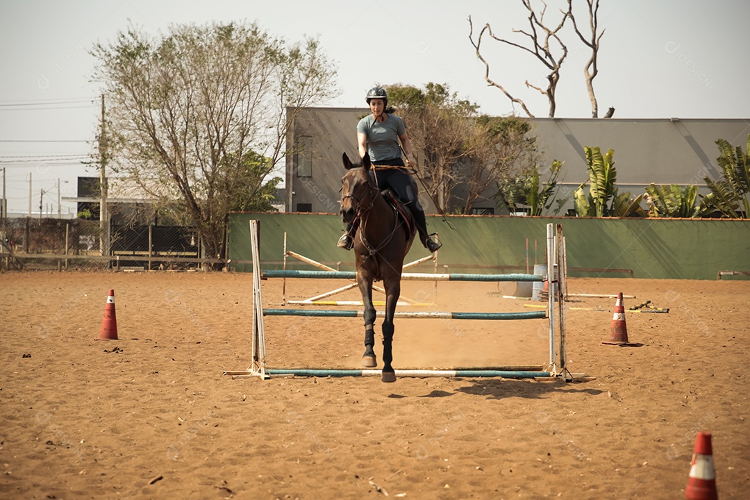 Mulher e seu cavalo pulando em obstáculo de hipismo