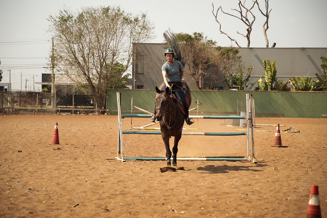 Mulher e seu cavalo pulando em obstáculo de hipismo