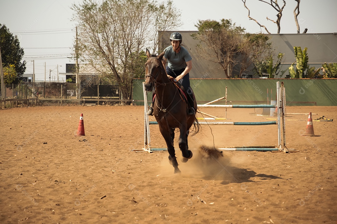 Amazona no seu treinamento de hipismo