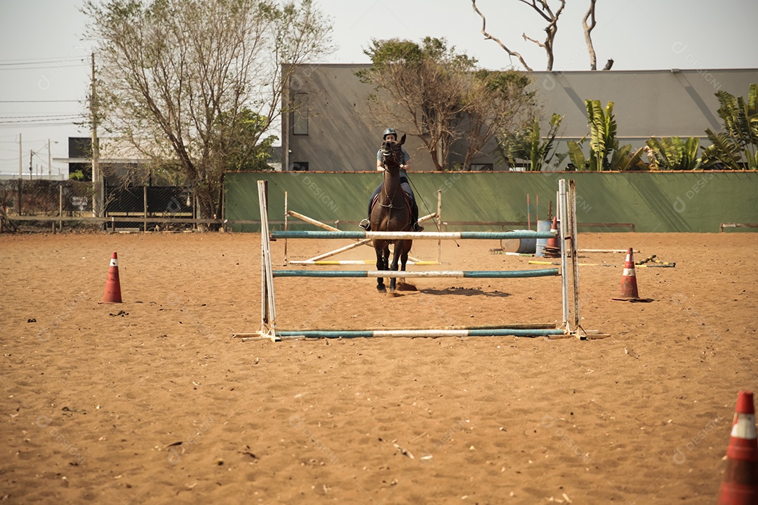 Mulher em um dia de treino de hipismo