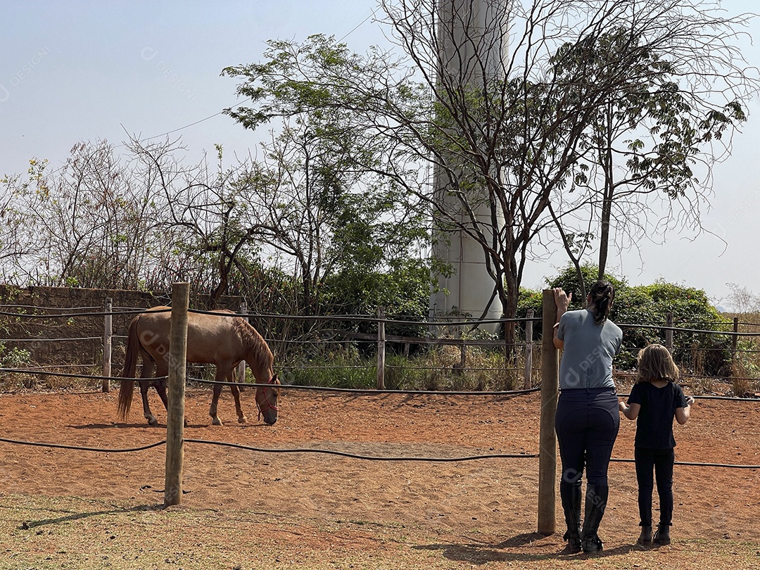 Duas amazonas e um cavalo amazonas no aras