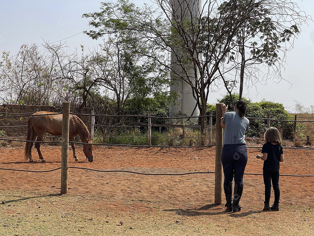 Duas amazonas e um cavalo amazonas no aras