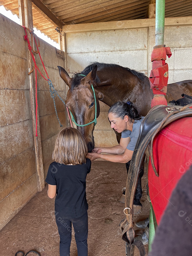 Amazonas cuidando de um cavalo