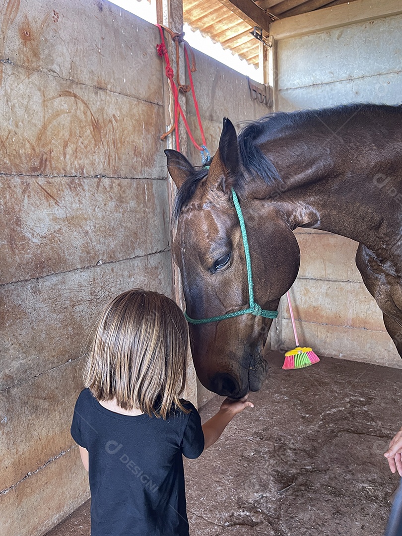 Linda garotinha dando comida a um cavalo
