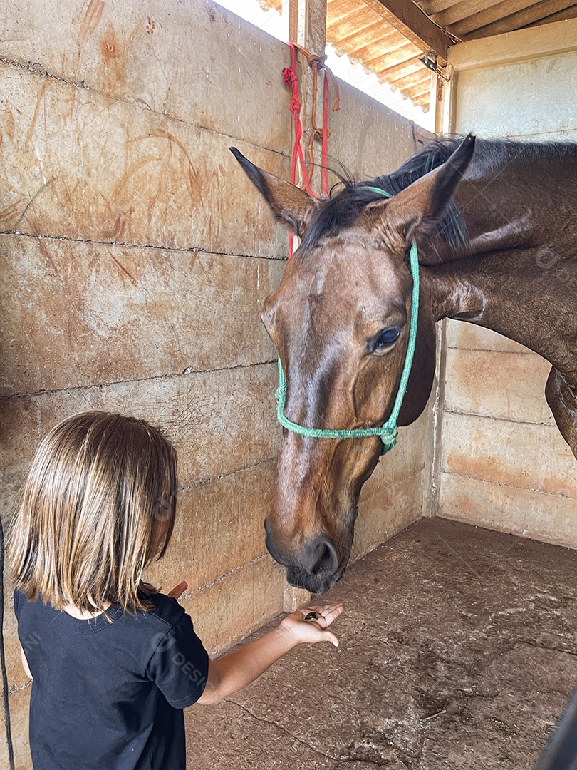 Uma criança fofa dando comida a um cavalo