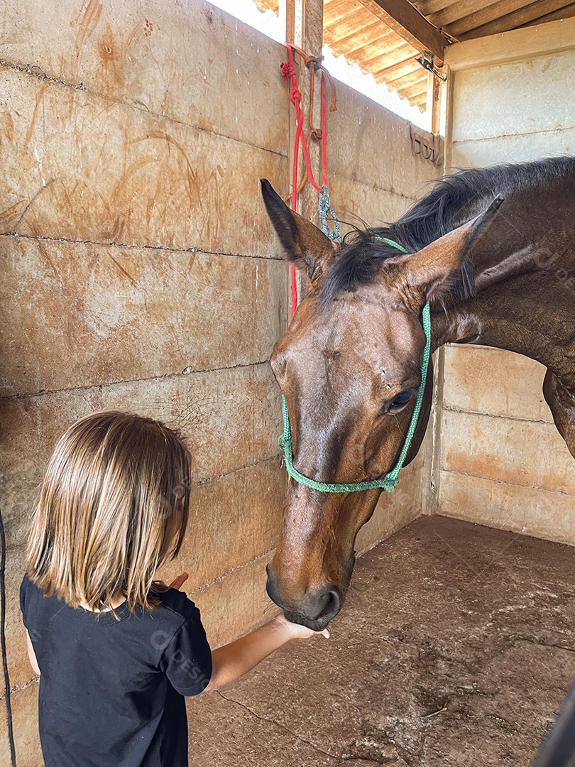Uma garotinha dando comida para o cavalo