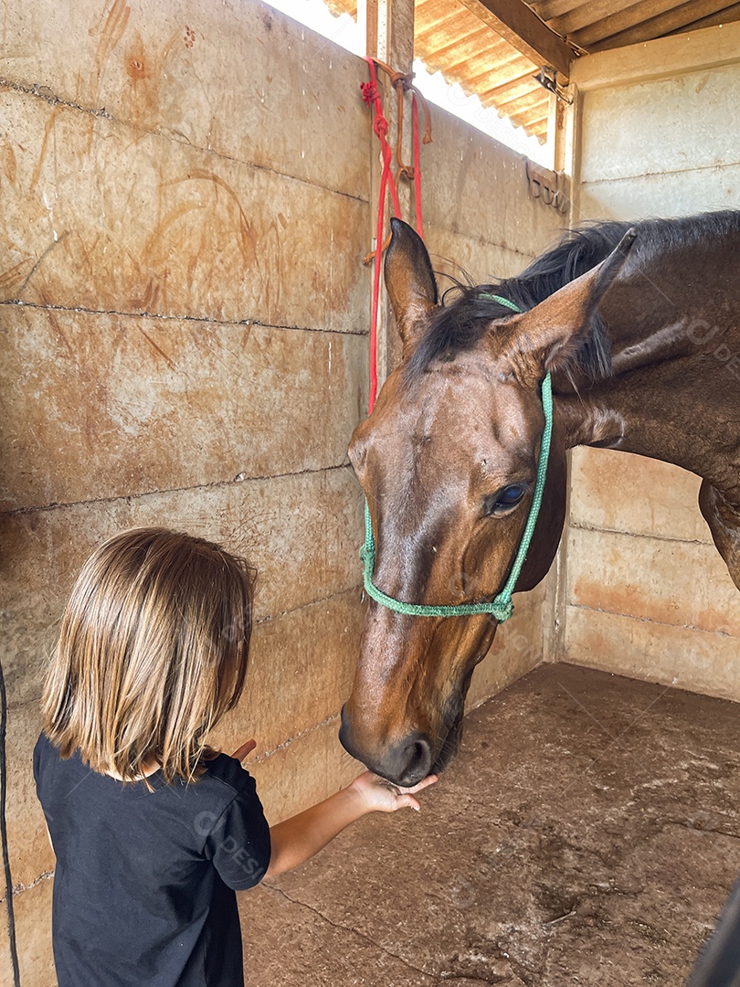 Uma garotinha dando comida para o cavalo